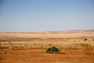 Paysage de savane dans le sud de Madagascar, réchauffement climatique aggravé. 