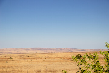 Naklejka premium Paysage de savane dans le sud de Madagascar, réchauffement climatique aggravé. 