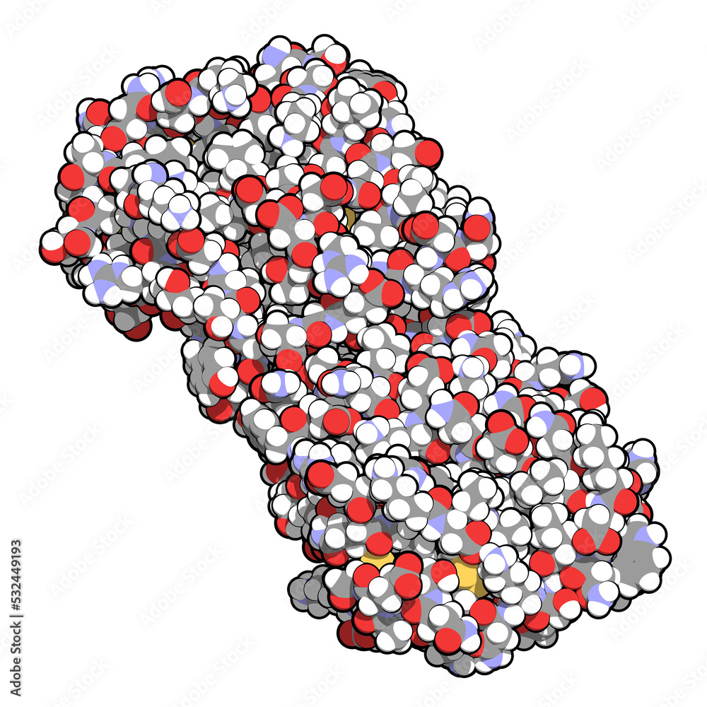 Wall mural colony stimulating factor 1 (csf-1, m-csf). also known as macrophage colony stimulating factor. 3d r