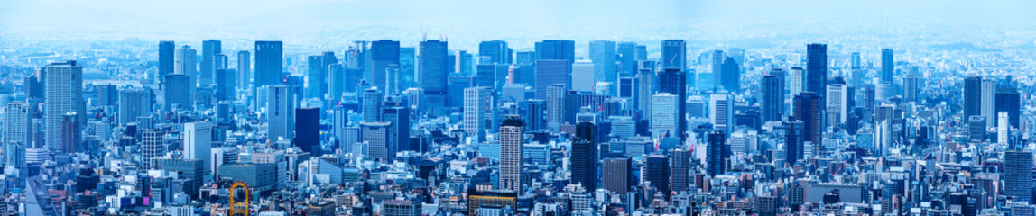 Fototapeta premium 高層ビルの上から見える大阪の街並み