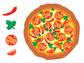 Round large pizza with
cheese, smoked sausage salami, hot red pepper, mayonnaise and parsley.  Pizza elements. Vector illustration.