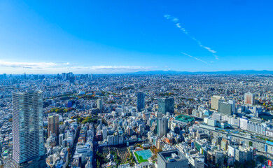 Fototapeta premium 富士山と東京