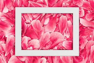 wooden picture frame on Background of delicate pink red rose peony petals. Full frame bright backdrop for holiday anniversary beauty product or gift card