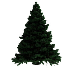 Green empty christmas tree isolated on white transparent background