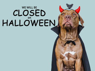 Signboard with the inscription We will be closed on Halloween