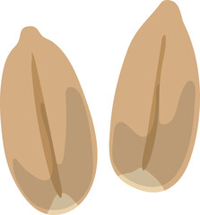 Raw wheat icon. Cartoon natural organic seed