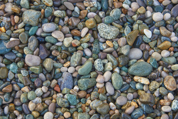 Full frame sea wet pebbles as a backdrop.