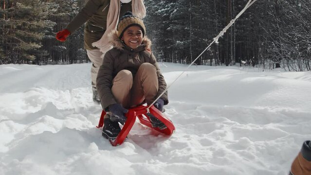 Slowmo of cheerful African American boy sledging in pine wood park, his parents pushing and pulling sledge