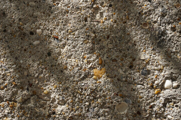 an old wall surface, there are also seashells on the wall plaster