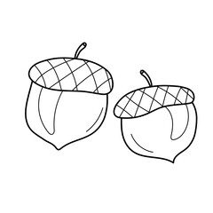 Two acorns in cartoon style, coloring page on white, coloring game for children. Hand drawn. Forest decoration, seasonal nature element.