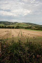 Farming on the South downs way