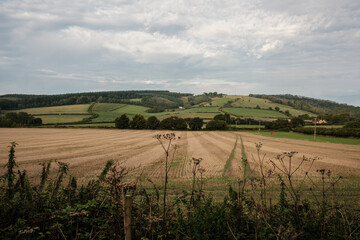 Farming on the South downs way