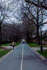 walking in the park
