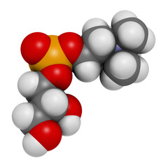 Alpha-GPC (L-Alpha glycerylphosphorylcholine, choline alfoscerate) molecule.  3D rendering. 