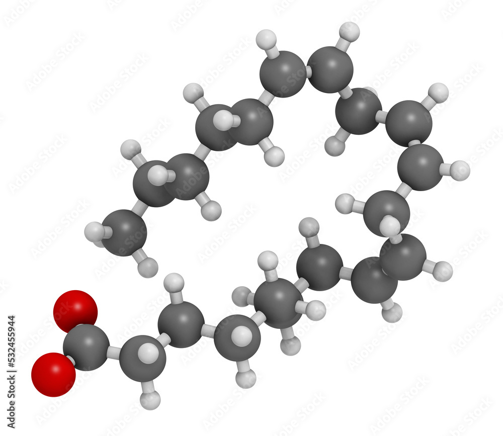 Wall mural Dihomo-γ-linolenic acid (DGLA) fatty acid molecule. Omega 6-fatty acid that is produced in the body from gamma-linolenic acid, 3D rendering.