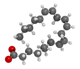 Dihomo-γ-linolenic acid (DGLA) fatty acid molecule. Omega 6-fatty acid that is produced in the body from gamma-linolenic acid, 3D rendering.