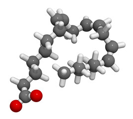 Dihomo-γ-linolenic acid (DGLA) fatty acid molecule. Omega 6-fatty acid that is produced in the body from gamma-linolenic acid, 3D rendering.
