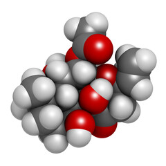 Forskolin (coleonol) molecule. Activates the enzyme adenylyl cyclase, resulting in increased levels of cAMP, 3D rendering.