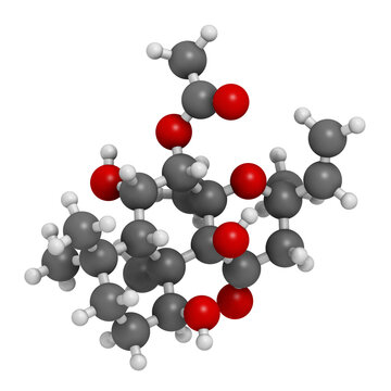 Forskolin (coleonol) molecule. Activates the enzyme adenylyl cyclase, resulting in increased levels of cAMP, 3D rendering.