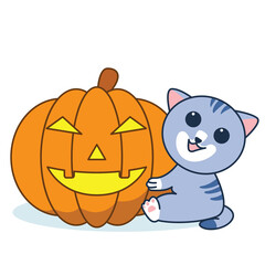 Hallowen Cat and Pumpkin in party