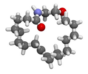 Oleoylethanolamide (OEA) endogenous peroxisome proliferator-activated receptor alpha (PPAR-α) agonist molecule, 3D rendering.
