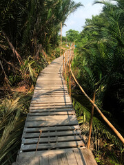 A way for connect with village inside the rain forest. The jungle path in tropical nature, Thailand