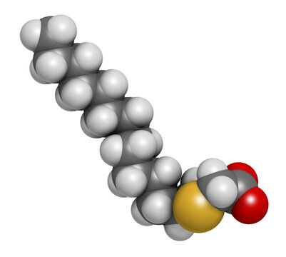 Tetradecylthioacetic acid (TTA) synthetic fatty acid molecule, 3D rendering.