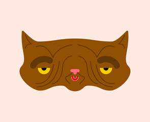 Old cat isolated. Grandpa cat. Vector illustration.