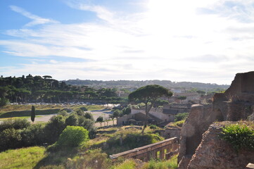 Fototapeta na wymiar View from the Palatine Hill, Rome