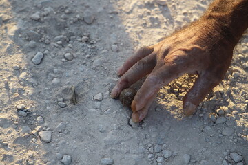 hand in sand