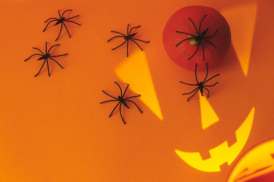 Spooky Halloween Still Life. Pumpkin With Spiders And Jack O Lantern Scary Face Decorations On Orange Background. Happy Halloween! Trick Or Treat! Space For Text