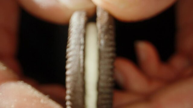 The girl connects two halves of a chocolate cookie with milk cream. Dolly slider extreme close-up.