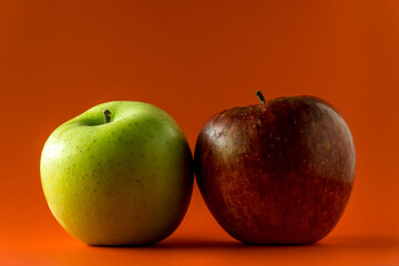 旬のリンゴと青りんご　コピースペース　赤