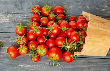 Fototapeta na wymiar fresh tomatoes vegetables, farm organic vector