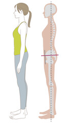 正しい姿勢で立つ横向きの女性とその骨格