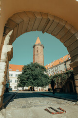 Fototapety na wymiar - Fototapeta24.pl