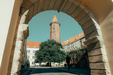 Fototapety na wymiar - Fototapeta24.pl