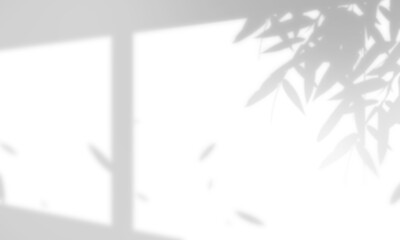 Leaves and window pane shadow overlay effect - obrazy, fototapety, plakaty