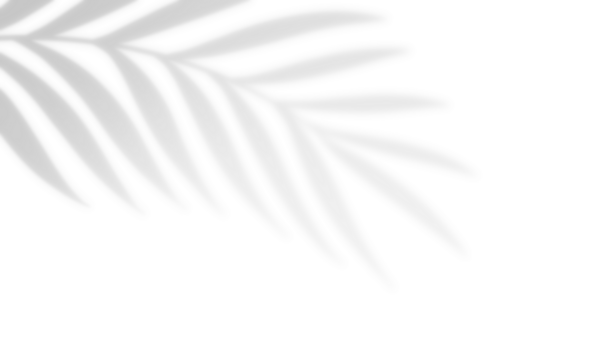 Shadow overlay effect