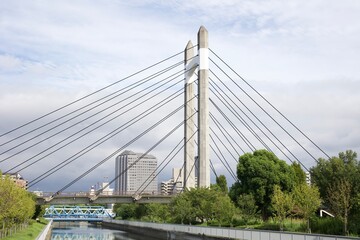 bridge over the river