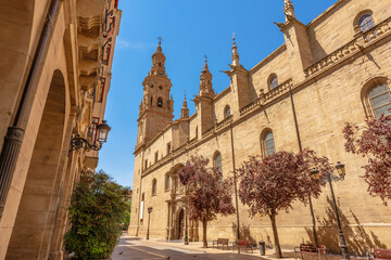 View of Santa Maria de la Redonda Logroño Co-Cathedral in La Rioja, Spain - obrazy, fototapety, plakaty