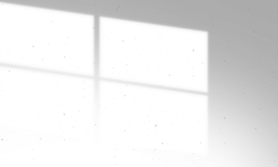 Shadow overlay window