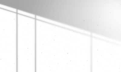 Shadow overlay window