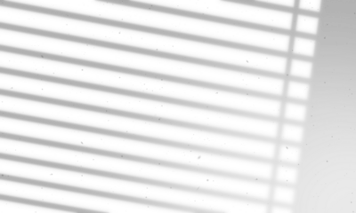 Shadow overlay window