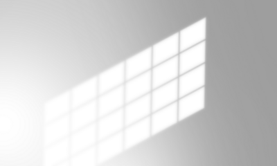 Shadow overlay window