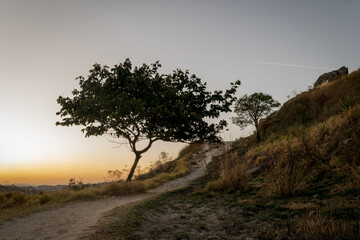 Fototapeta na wymiar Lindo pôr do sol com silueta de árvore ao entardecer com céu azul e limpo, em pedreira no bairro Industrial, Contagem, Minas Gerais.
