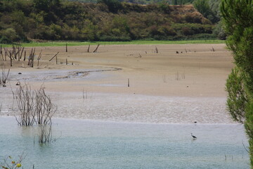 La sequía vacía los pantanos y embalses