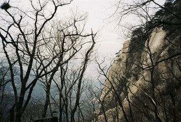 sunset in the forest