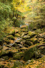 晩秋の犬鳴渓谷（大阪府泉佐野市）