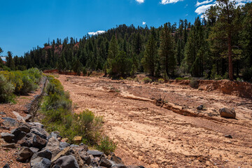 river bed in utah after heavy rain